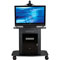 AVTEQ GMP-300S-TT1