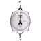 Brecknell MSLN01008010000 Scale