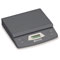 Brecknell 816965001392 Scale
