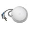 Cisco AIR-ANT2451NV-R=